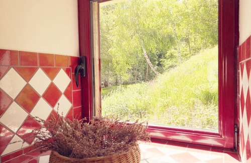 Ferrieres-sur-Sichon Cabaña | Rincón de ensueño en antiguo molino renovado con pesca, naturaleza y comodidades modernas