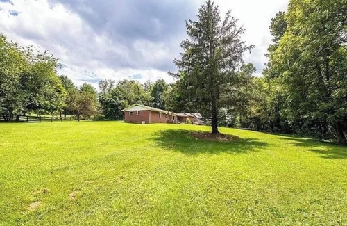 Mills River Casa | Charming Retreat 1-bedroom house in peaceful Mills River