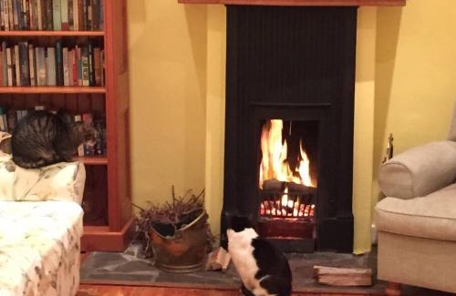 Rosebank Apartamento | Charming Rosebank Cottage