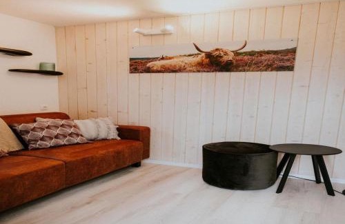 Balkbrug Casa | Charming Tiny House Getaway with Terrace