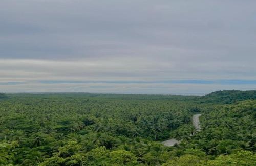 Catangnan Hotel | Charms Angels Homestay by RedDoorz