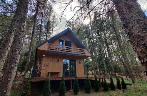 gmina Lubycza Krolewska Casa | Chatki Bernadki - Siedliska na Roztoczu