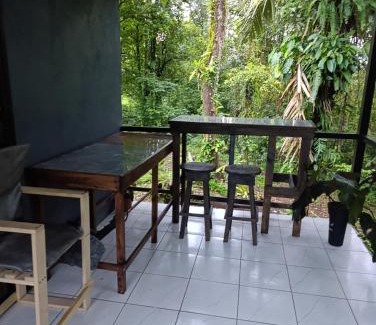 Katira Otro | Chava Lodge On Tenorio Rio Celeste