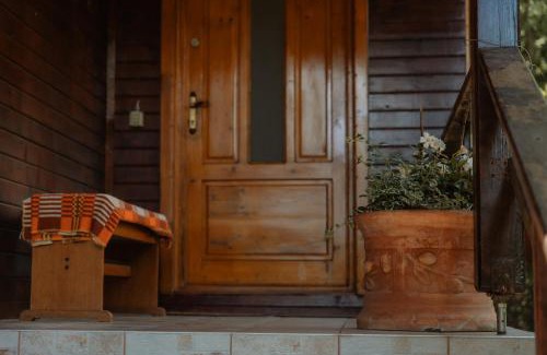 Auseu Casa | Cheerful Forest Cabin with Hot Tub!