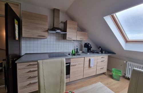 Rheinau Casa | Cheerful Roof Flat in a Private German Style House