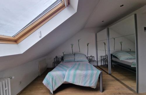 Rheinau Casa | Cheerful Roof Flat in a Private German Style House