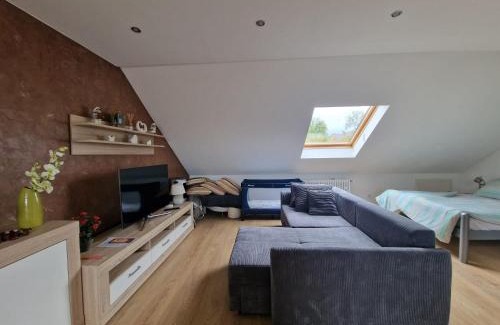 Rheinau Casa | Cheerful Roof Flat in a Private German Style House