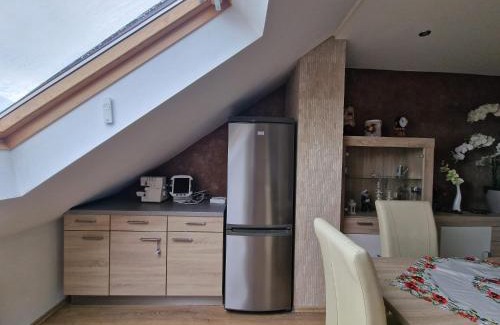 Rheinau Casa | Cheerful Roof Flat in a Private German Style House