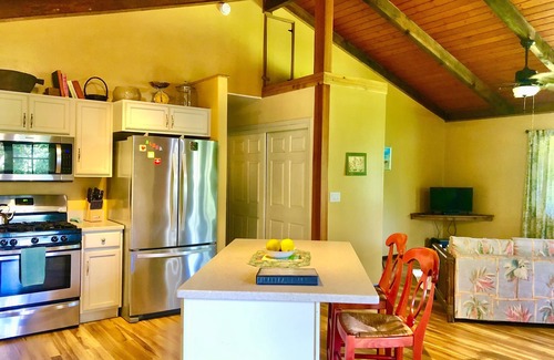 Orchidlands Estates Casa | Cheerful, spacious home filled with Aloha!