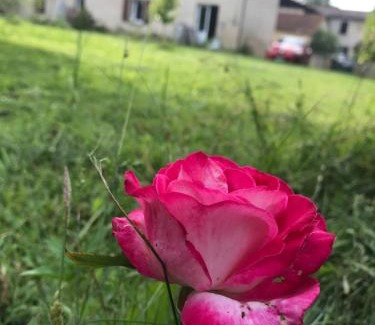 Mazerolles Casa | Chez Benoit, séjour Zen chez l'habitant