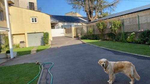 Bourg-Madame Apartamento | Chez Hélène 3 étoiles, labellisé disabled PMR,pour 4 personnes chiens bienvenus-pet friendly