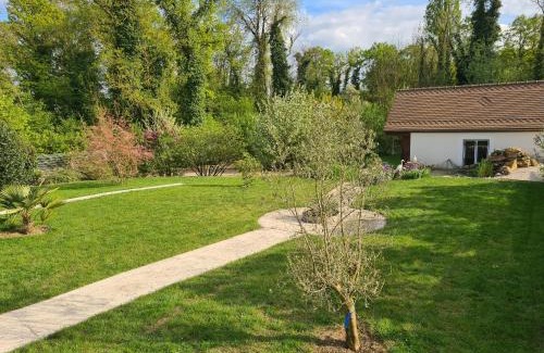 Bourg-et-Comin Apartamento | Chez Jaja et Phiphi