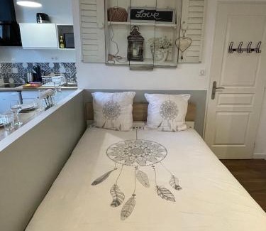 Centre Ville Apartamento | Chez Jean-Yves et Zoé - LE CARPE DIEM - Au calme, Très propre, Proche parkings