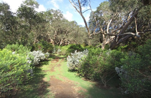 La Plaine des Cafres Casa | Chez Maryse en Plaine des Cafres