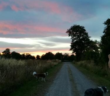 Brigueil-le-Chantre Cama Y Desayuno | Chez Pastuso