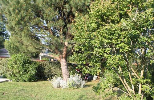 Lege-Cap-Ferret Casa | Chez Sophie