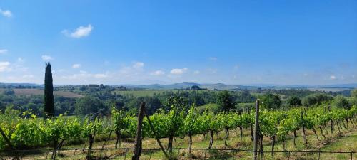 Castelnuovo Berardenga Apartamento | CHIANTI - Lovely Cottage with Parking & Garden!