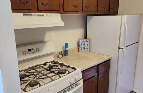 Mentor Apartamento | Chic 1 Bd Great for Travel Professionals!