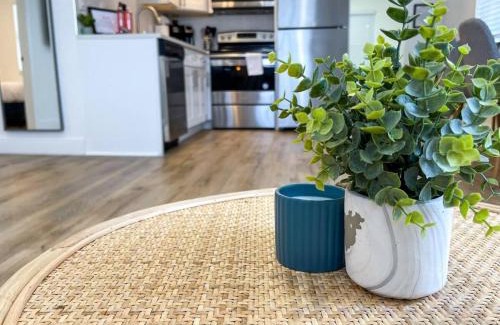 St. Petersburg - Clearwater Casa | Chic And Cosy Newly Renovated Near The Beach