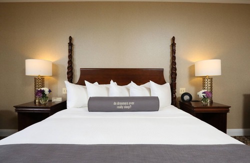 Rochester Hotel | Chic European Boutique Hotel in Rochester