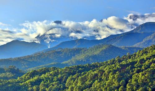 Palampur Hotel | Chimbalhar Heights