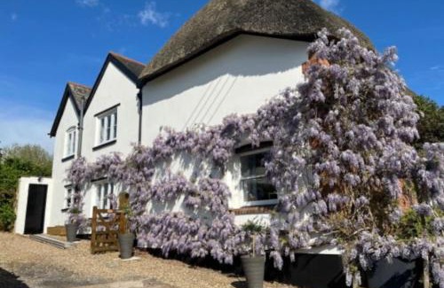 Poltimore Apartamento | Church View, Poltimore Village - near Exeter