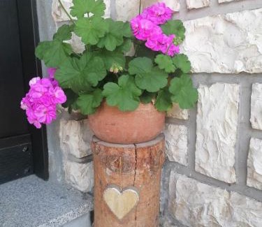 Moena Apartamento | Ciasa Celeste