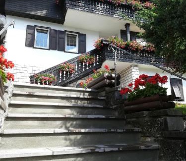 Moena Apartamento | Ciasa Celeste