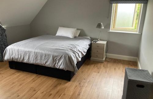 Roscoe Casa | Circular Road Comfort - UHG & University Access