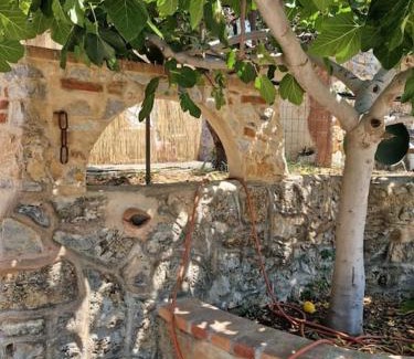 Marina Di Camerota Apartamento | Cisterna - Loft con giardino