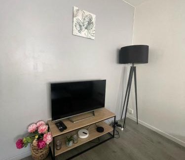 Sainte-Foy-les-Lyon Apartamento | City & cosy, LYON CHARCOT- WIFI - LAVE LINGE - BALCON - PARKING