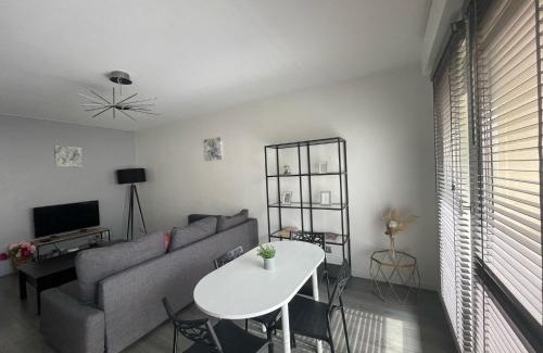 Sainte-Foy-les-Lyon Apartamento | City & cosy, LYON CHARCOT- WIFI - LAVE LINGE - BALCON - PARKING