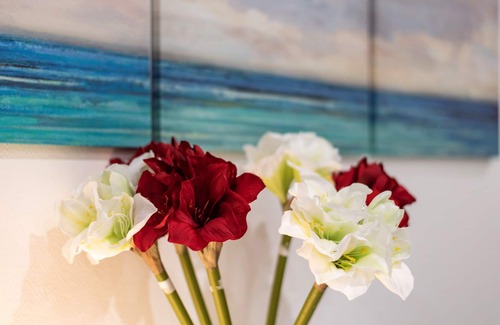 Orangerie Apartamento | CityCosy Strasbourg - 1-bedroom Hirtz, CityCosy-Strasbourg: T2 Résidence Hirtz