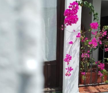 Santiago Apartamento | Claustro Home Casco Histórico Córdoba