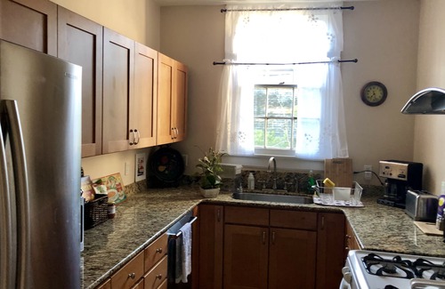 Carrollton Apartamento | Belleza Histórica 3BR / 2BA Univ Distrito Apt. Viaja en el tranvía hasta el cuarto de Francia