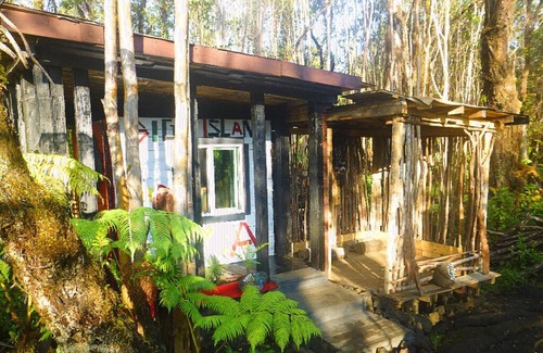 Fern Forest Casa | Clean Off-Grid Art Lovers Rainforest Hideaway!