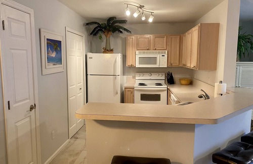 Beach Haven Condominio | Clean & Updated Condo - Close to Mayo Clinic, Shopping & More!