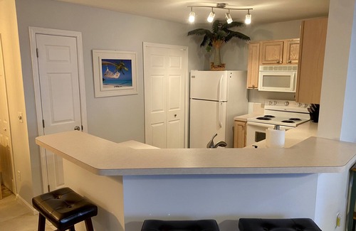 Beach Haven Condominio | Clean & Updated Condo - Close to Mayo Clinic, Shopping & More!