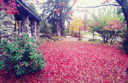 Belle Mead Casa | Cerca de Princeton, Rutgers, Manhattan, Filadelfia, cerca del tren, WiFi central gratis