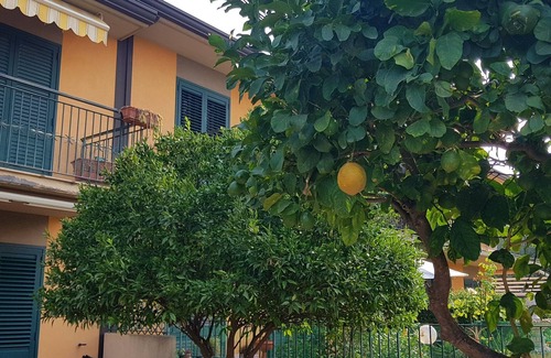 Fondachello Villa | Cerca del mar, luminoso apartamento con jardín.