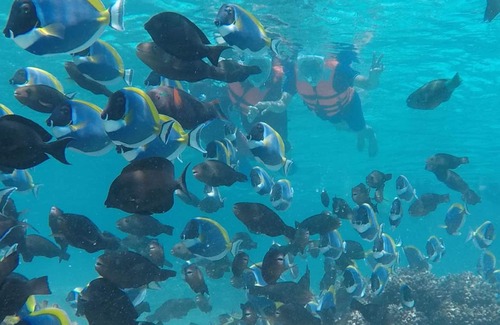 Hulhumale Hotel | Club Blu