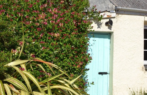 Stackpole Cabaña | Casa rural en el Parque Nacional de Pembrokeshire. Cerca de playas, caminos costeros, castillos.