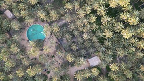 Tozeur Otro | Coco Oasis Resort Camping Maison d hotes