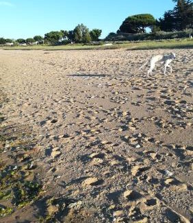 Saint-Denis-d'Oleron Casa | cocon bien douiile