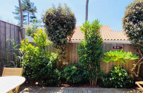 Ares Casa | Cocon entre presqu'île du Cap Ferret et plages océanes - terrasse - 1 vélo gratuit