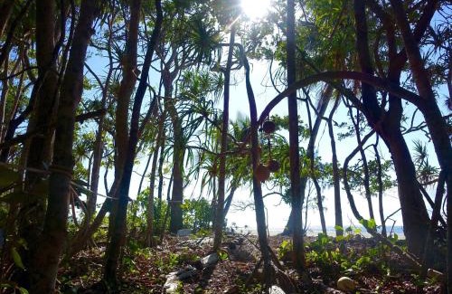 Cape Tribulation Casa | Coconut Beach House