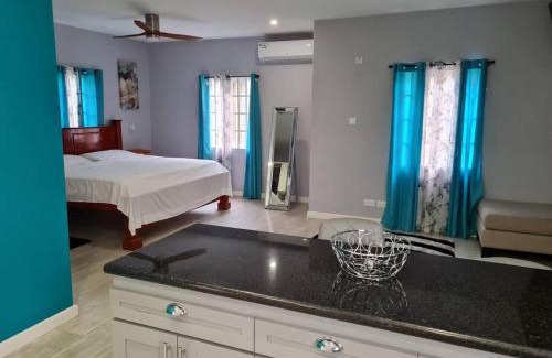 St. George's Apartamento | Coconut Creek Deluxe Suite