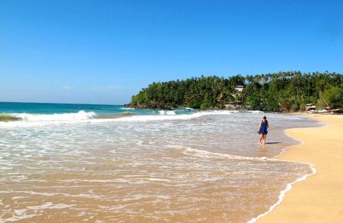 Bandaramulla Casa | Coconut Hill Homestay