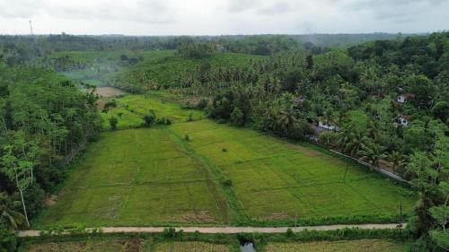 Baddegama Apartamento | Coconut Shady Villa