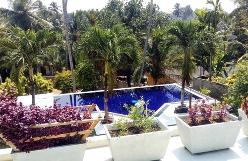 Maggona Cama Y Desayuno | Colibri Villa